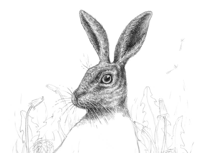 Drawing rabbit ears with ink