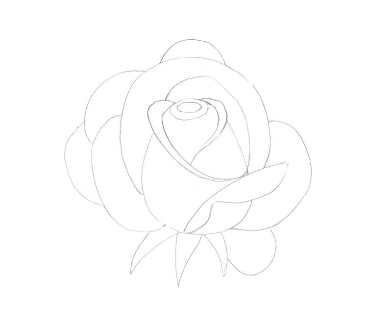 Colorful Flower Drawing Outline | Best Flower Site