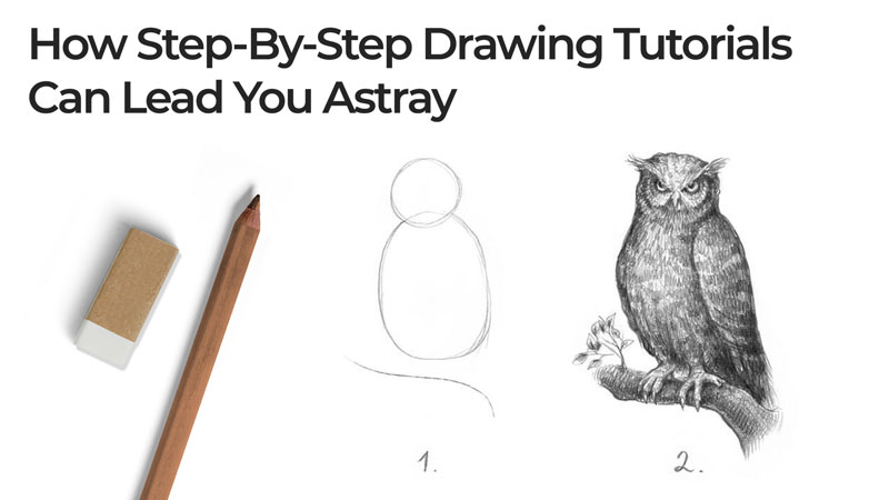 Easy Drawing Guides - Learn How to Draw a Blue Jay: Easy Step-by