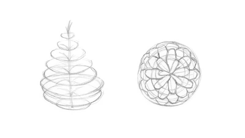 Pine cones from the top and side