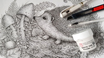 How to Fix Mistakes in a Pen and Ink Drawing