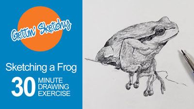 Drawing a Frog in 30 Minutes