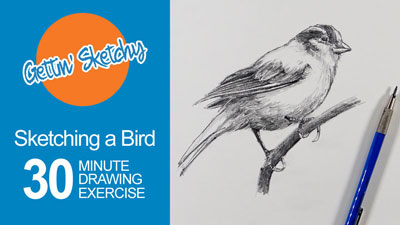 Drawing a Bird in 30 Minutes