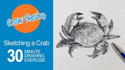 How to Draw a Crab