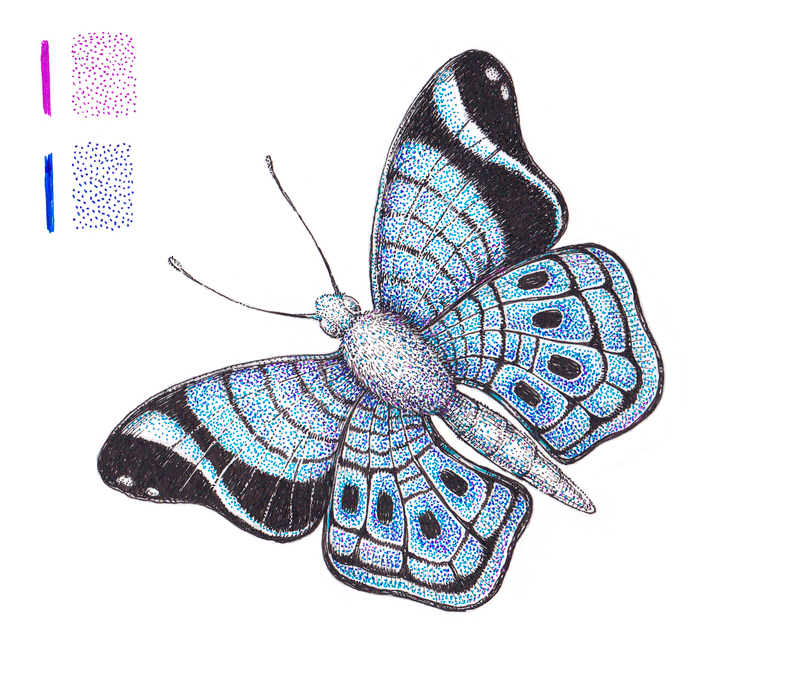 How to Draw a Butterfly with Pen and Ink and Colorful Stippling