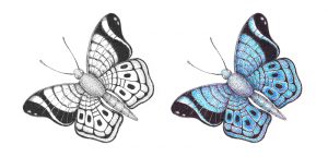 How to Draw a Butterfly with Pen and Ink and Colorful Stippling