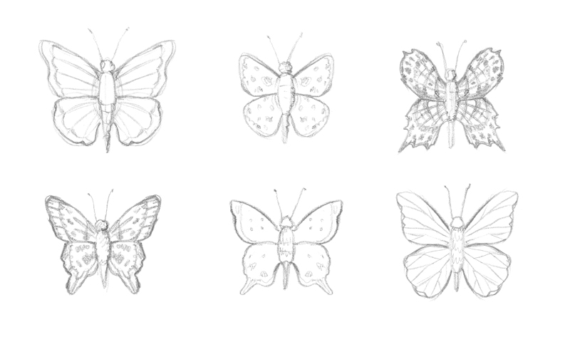 outline drawings of butterflies