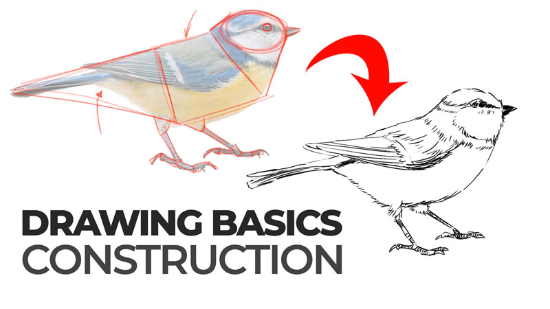 Drawing Basics Construction