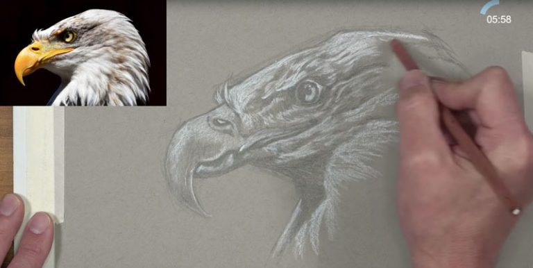 Timed Sketching Exercise – Eagle