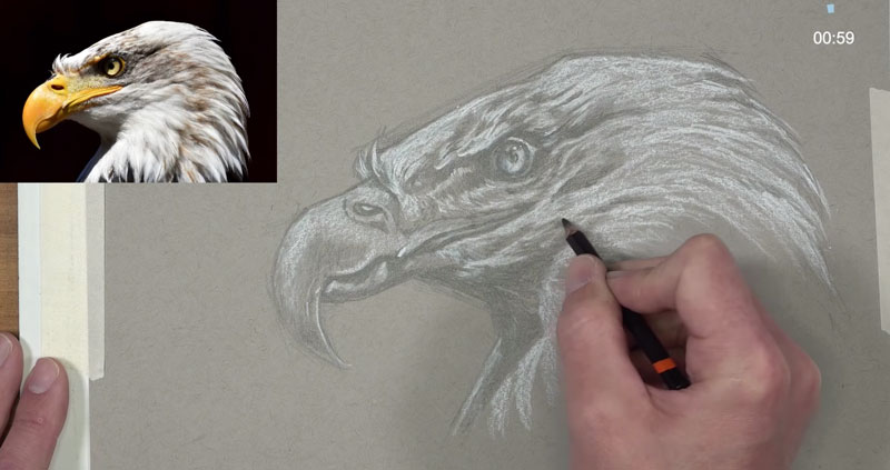 Eagle sketch - creating a full range of value