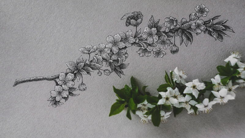 Pen + Paper Flowers: 2019