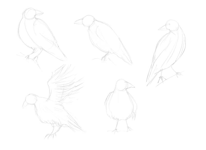 ravens birds drawing