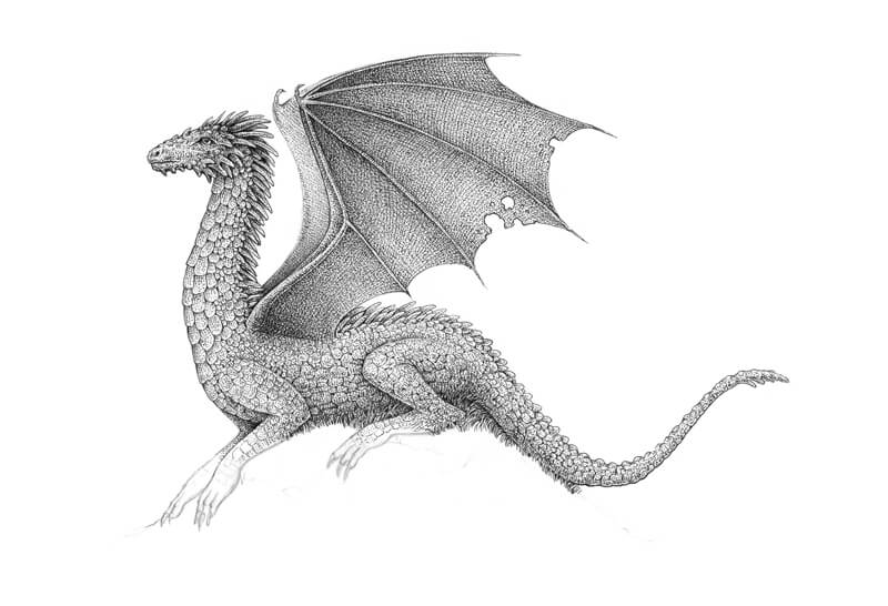 Drawing a second wing on the dragon