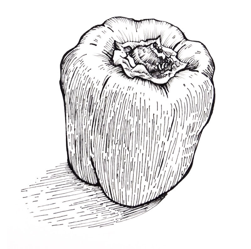 Featured image of post Beginner Drawing Ideas For Adults / A piece of fruit is a perfect subject for beginners because of its natural.