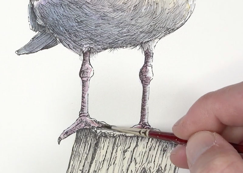Painting the legs with watercolor