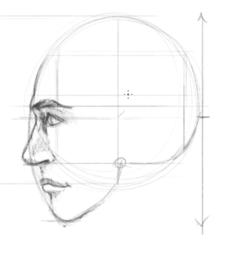 How to draw a face profile view - step - 5 - Draw the Facial Features and Add Shading