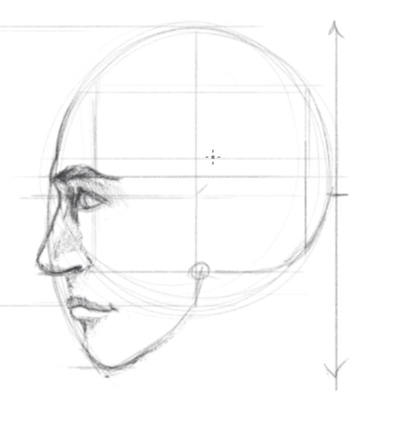 How to draw profile faces  swipe to see step by step art artist  artistsoninstagram arttutorial tu  Profile drawing Side face drawing  Drawings pinterest