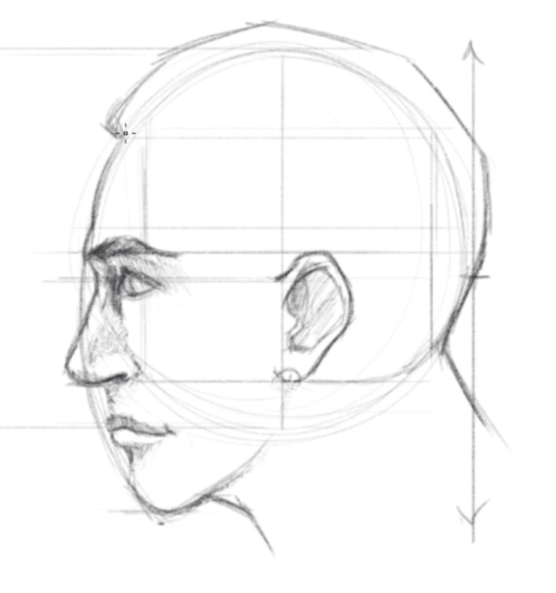 How To Draw A Face Facial Proportions