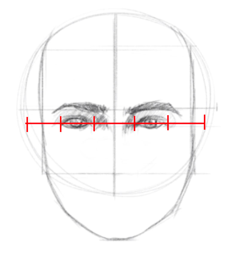 How To Draw A Face Facial Proportions