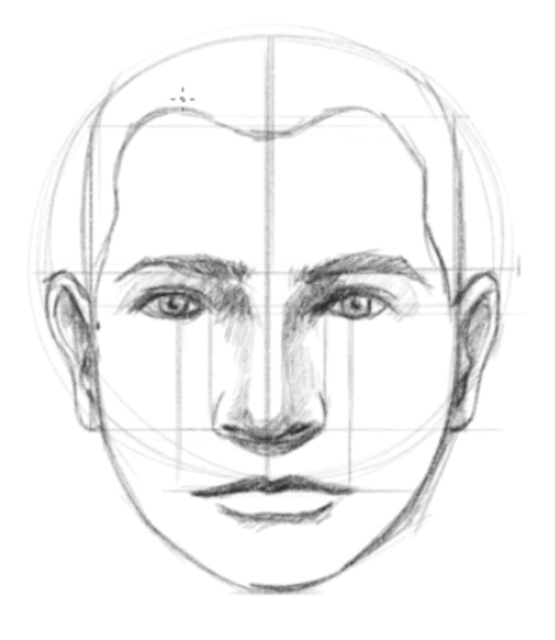 how to lines face draw How Face Facial Draw   to a Proportions