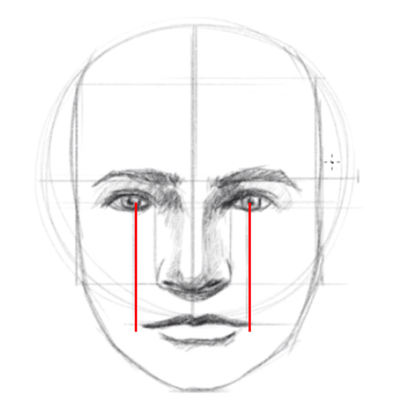 How to Draw The Front View of The Male Head