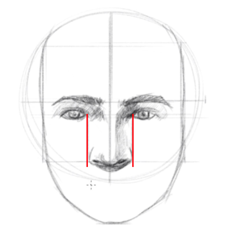 How To Draw A Face Facial Proportions