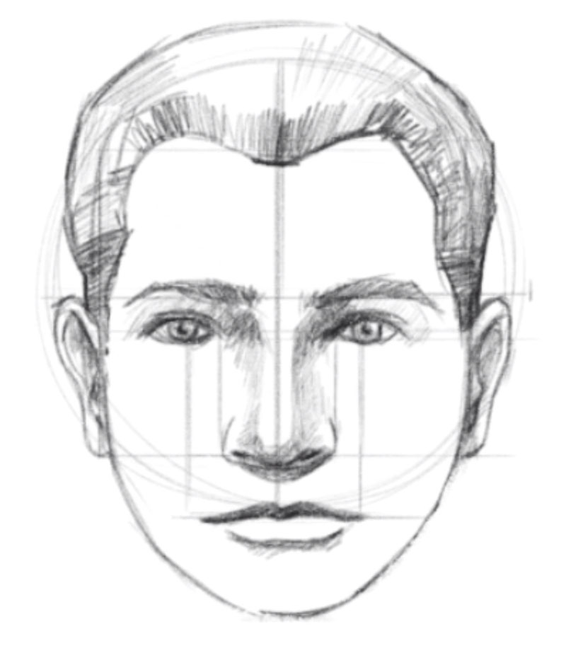 How to Draw a Face Facial Proportions