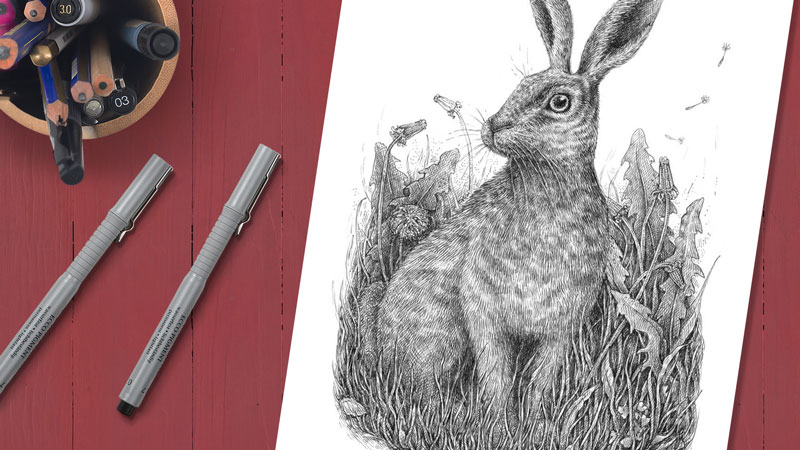 How to draw a rabbit step by step guide ✓ Professional tips for an easy bunny  drawing ✓ The best materials to u… | Rabbit drawing, Easy bunny drawing, Bunny  drawing