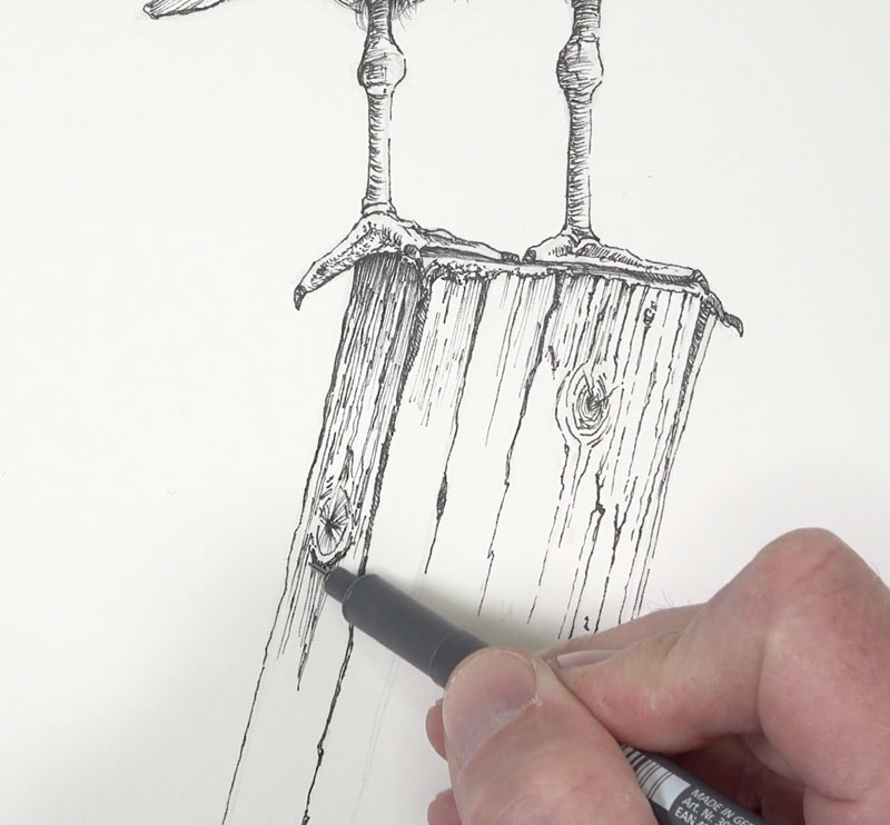 Drawing wood with pen and ink