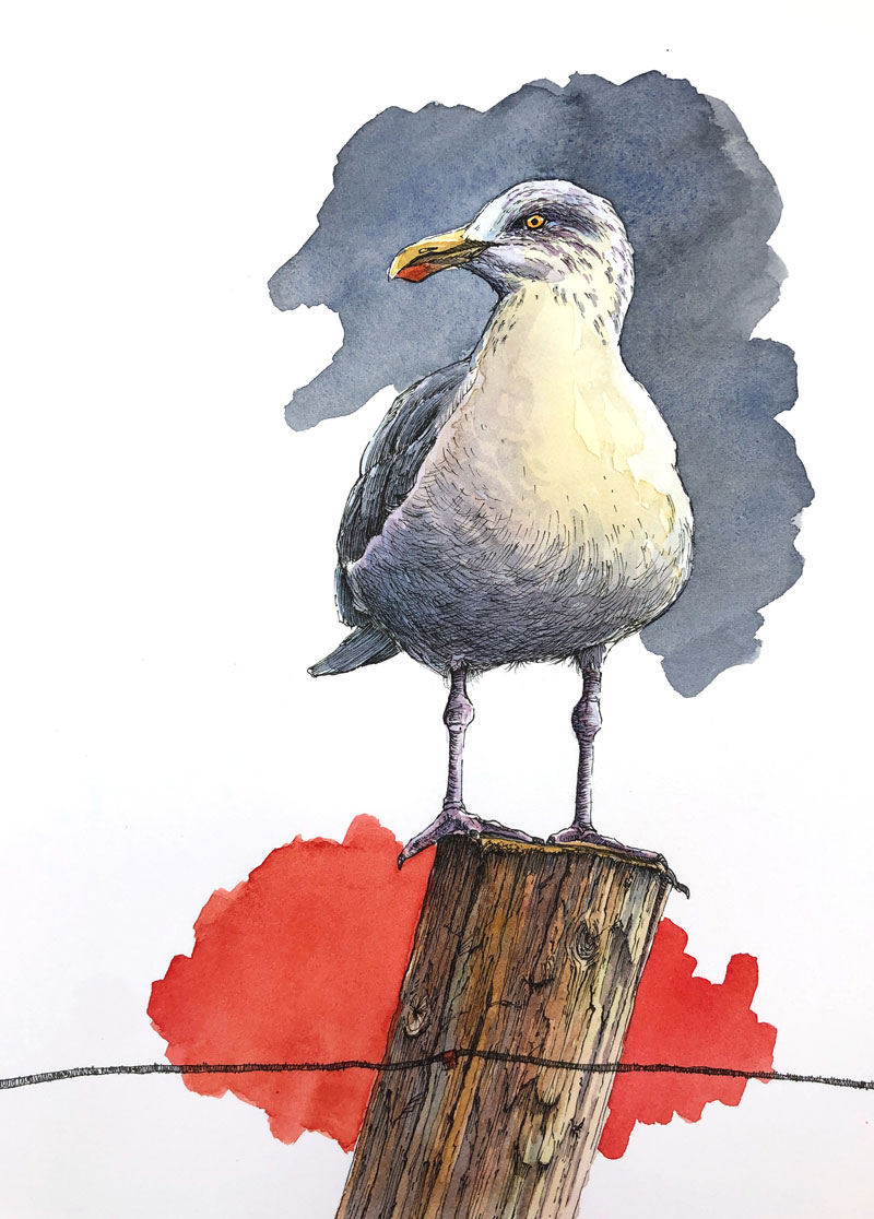 https://thevirtualinstructor.com/blog/wp-content/uploads/2019/06/watercolor-ink-seagull-painting.jpg