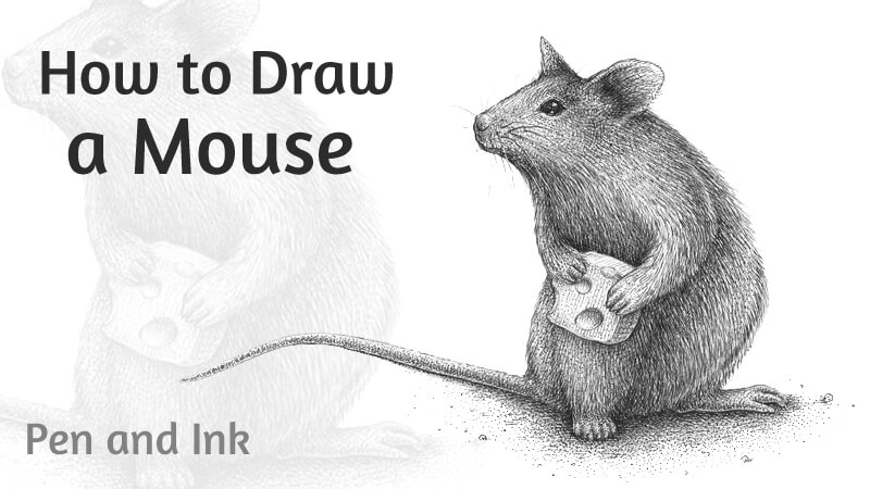 How to draw a mouse with pen and ink