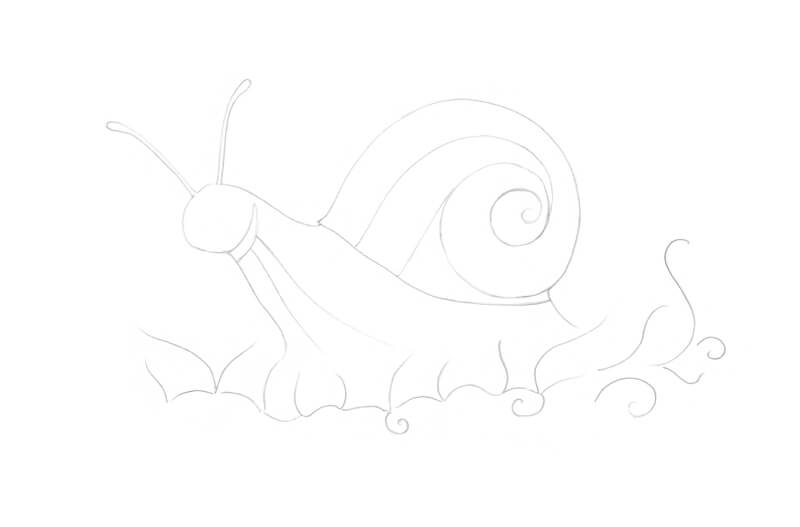 Pencil sketch of the contours of a snail