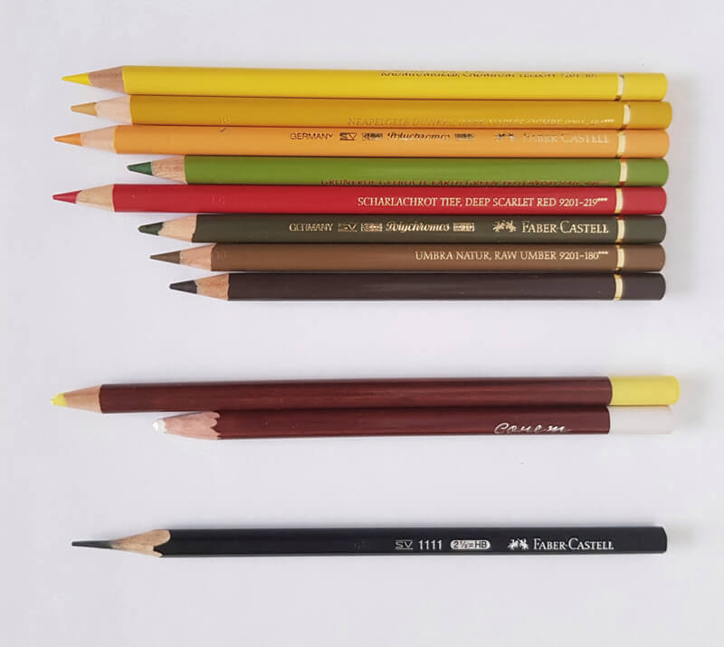 Black Dark Brownness Sticks,Gift for Artist Shading 2 Soft 2 Medium 2 Hard White 12pcs Colored Charcoal Pencil Set for Drawing Light Brown Coloring Hobbyist,Beginner 