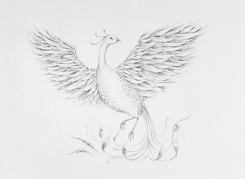 simple phoenix drawings