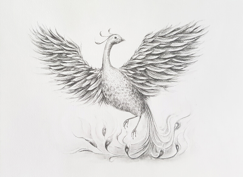 Phoenix Pencil Sketch by AFragileSmile on DeviantArt