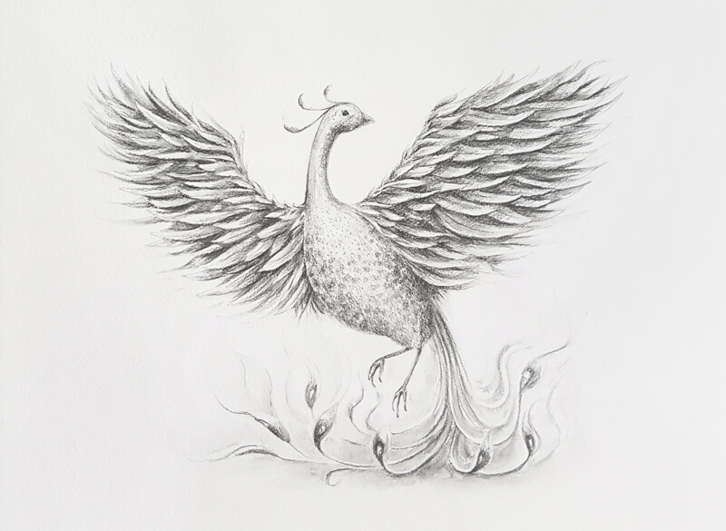 15 Easy Phoenix Drawing Ideas  How to Draw a Phoenix