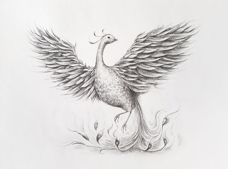 How to Draw a Phoenix with WaterSoluble Graphite Pencils