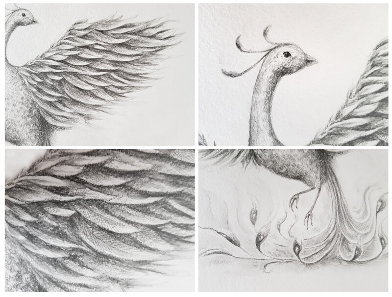 phoenix bird drawings in pencil