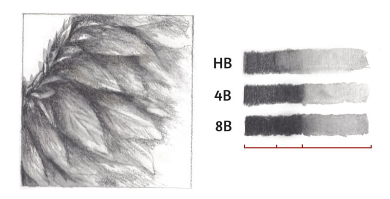 How to Draw a Phoenix with Water-Soluble Graphite Pencils