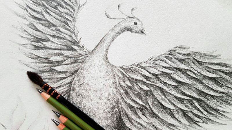 How to Draw a Phoenix with Water-Soluble Graphite
