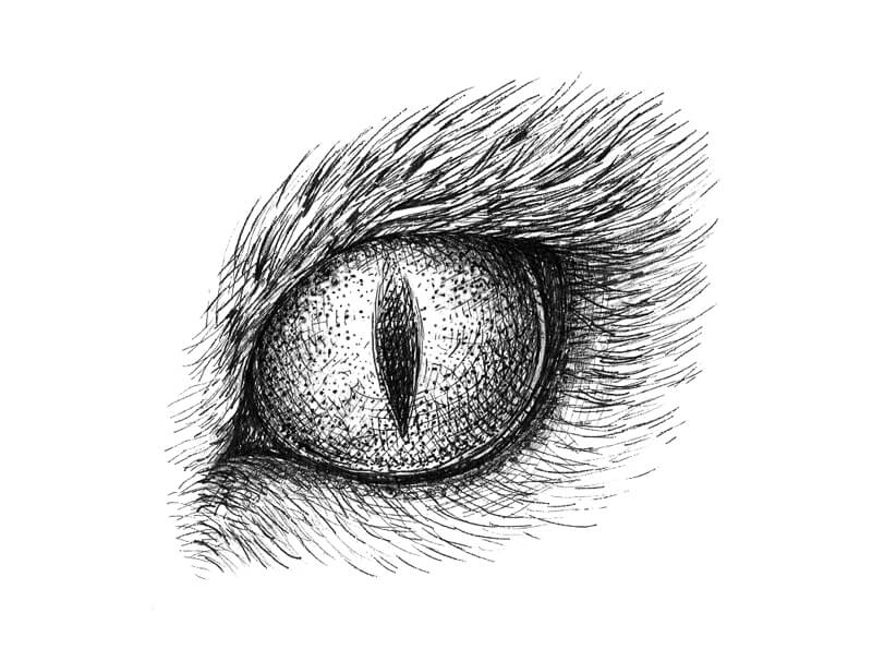 ink drawings of eyes