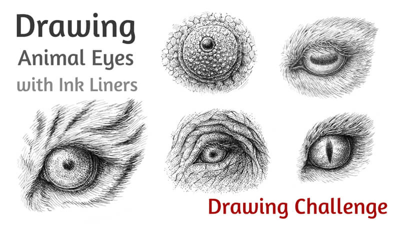 ink drawings of eyes