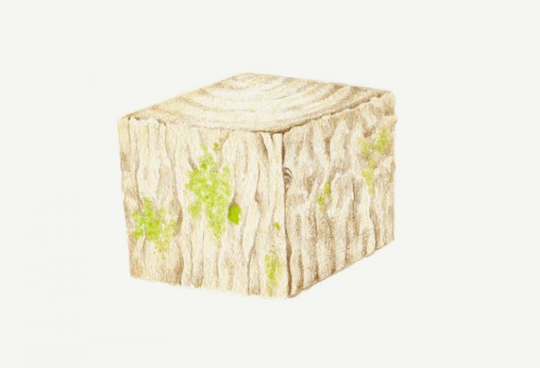 How to Draw Realistic Wood Grain Texture with Colored Pencils