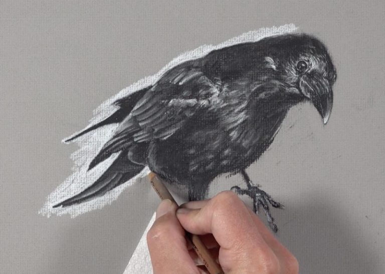 Charcoal Drawing Lesson Raven