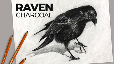 How to draw a raven with charcoal