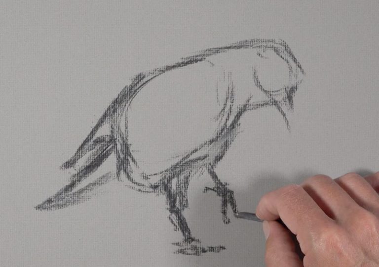 Charcoal Drawing Lesson Raven