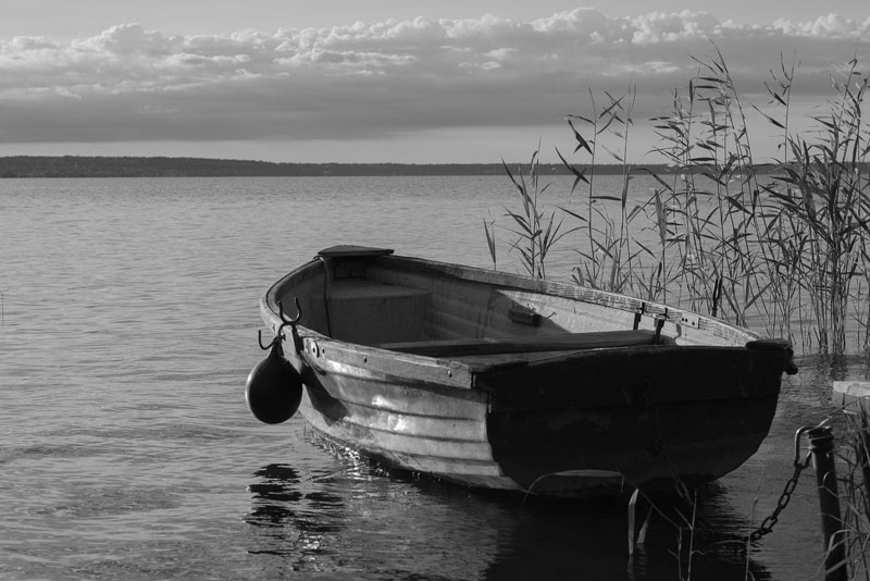 Rowing Drawing Boat Rowing monochrome sports rowing Boat png  PNGWing