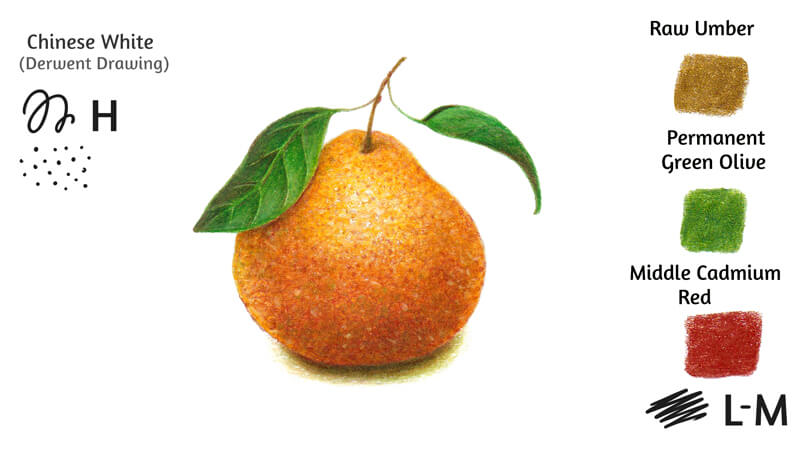 Colored pencil drawing of a mandarin orange