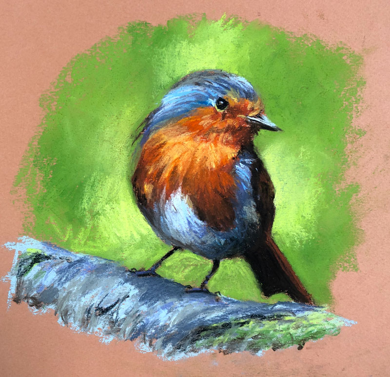 Pastel Drawing of a Robin – Timed Drawing Exercise