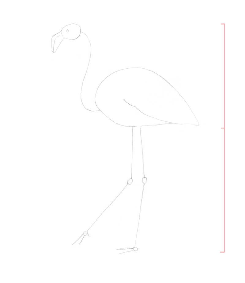 Finding bad flamingo drawings with recurrent neural networks